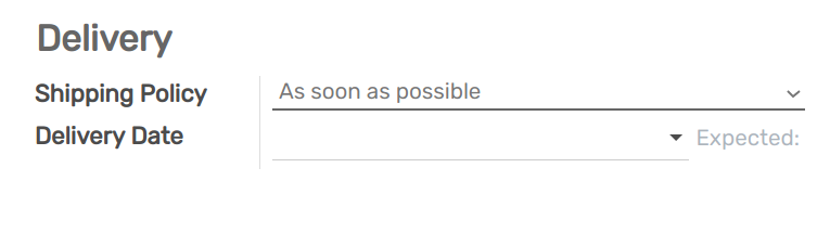View of the delivery settings to have the delivery lead time taken into account
